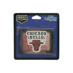 Chicago Bulls NBA Magnet
